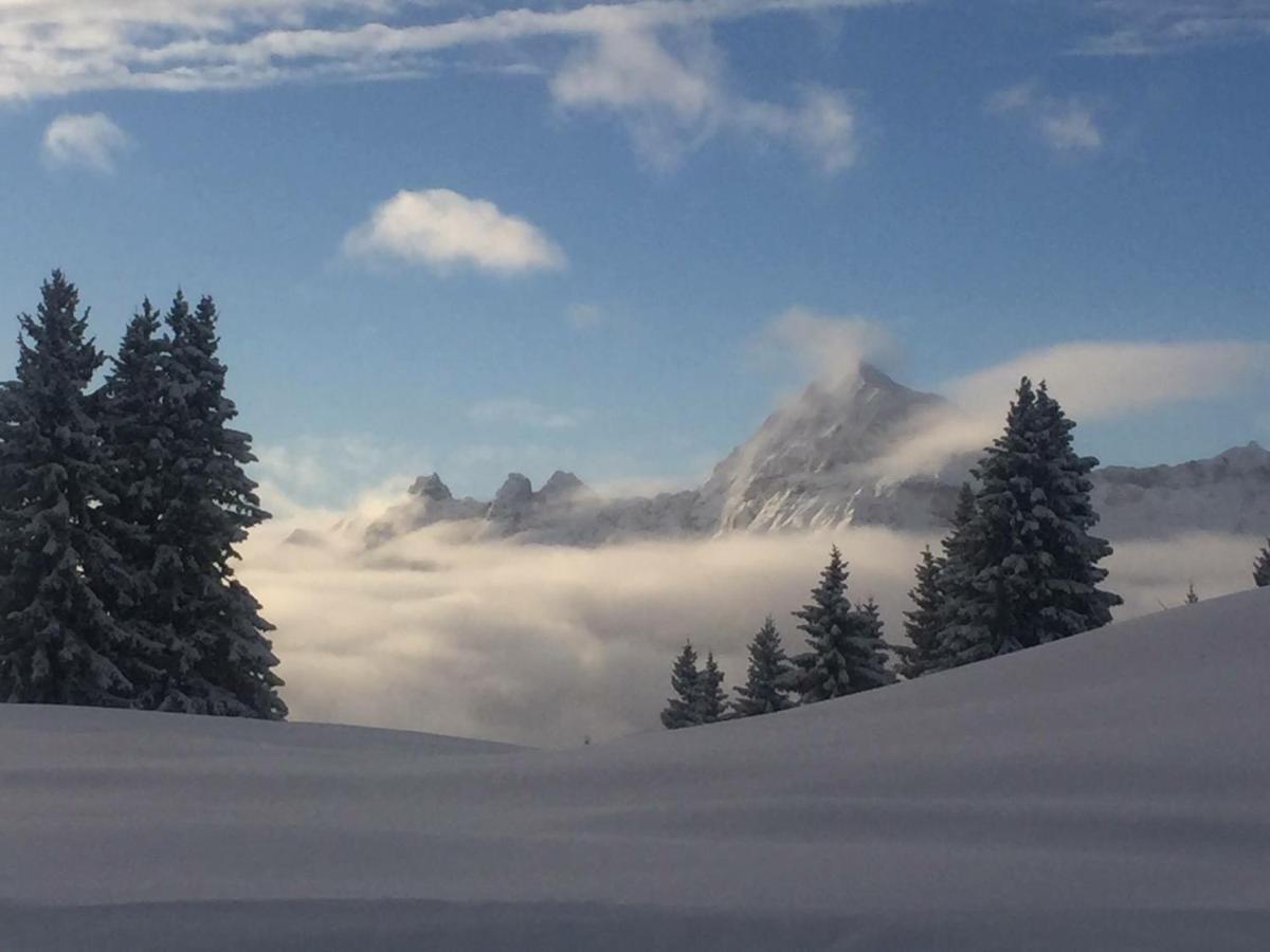 ホテル Le Caprice Des Neiges クレスト・ヴォラン 部屋 写真